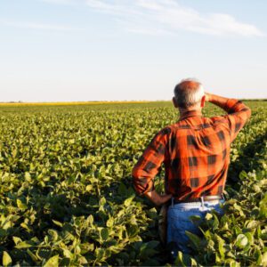 northern illinois farmland with man