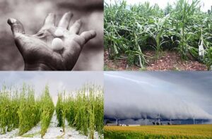 hail, wind, snow, tornado damage