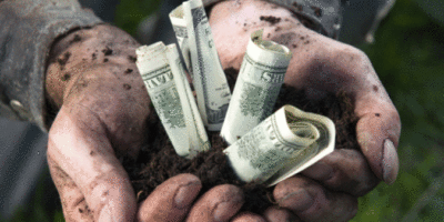 Farm Management