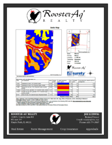 Henry County, Kewanee Township