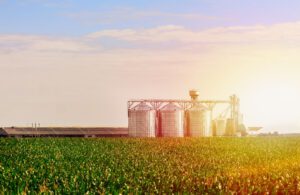 Grain Facility