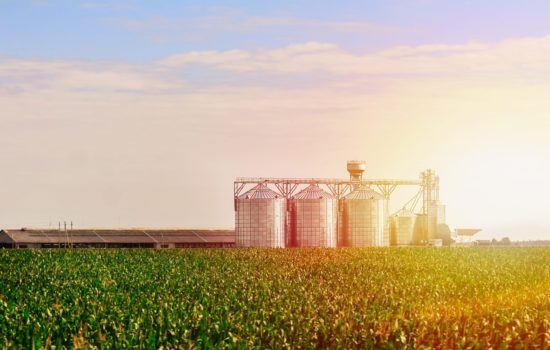 Grain Facility Sales