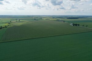 The Melms Road Farm