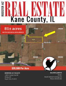 The Wheeler Road 81 Acre Property