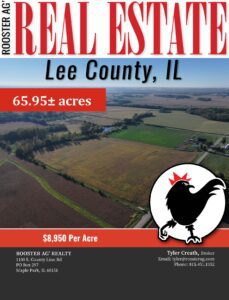 The Amboy 65.81 Acres Farm