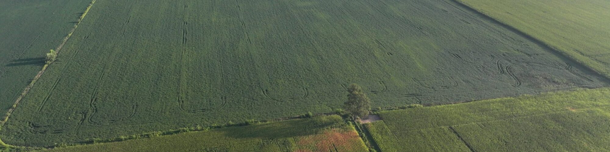 Farmland