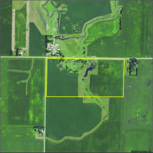 The Yale Avenue Farm