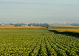 Ownership Interest And Lack Of Marketability